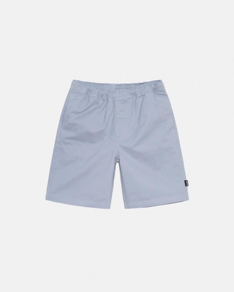 Blue Men\'s Stussy Brushed Beach Shorts Philippines | SUP-0381