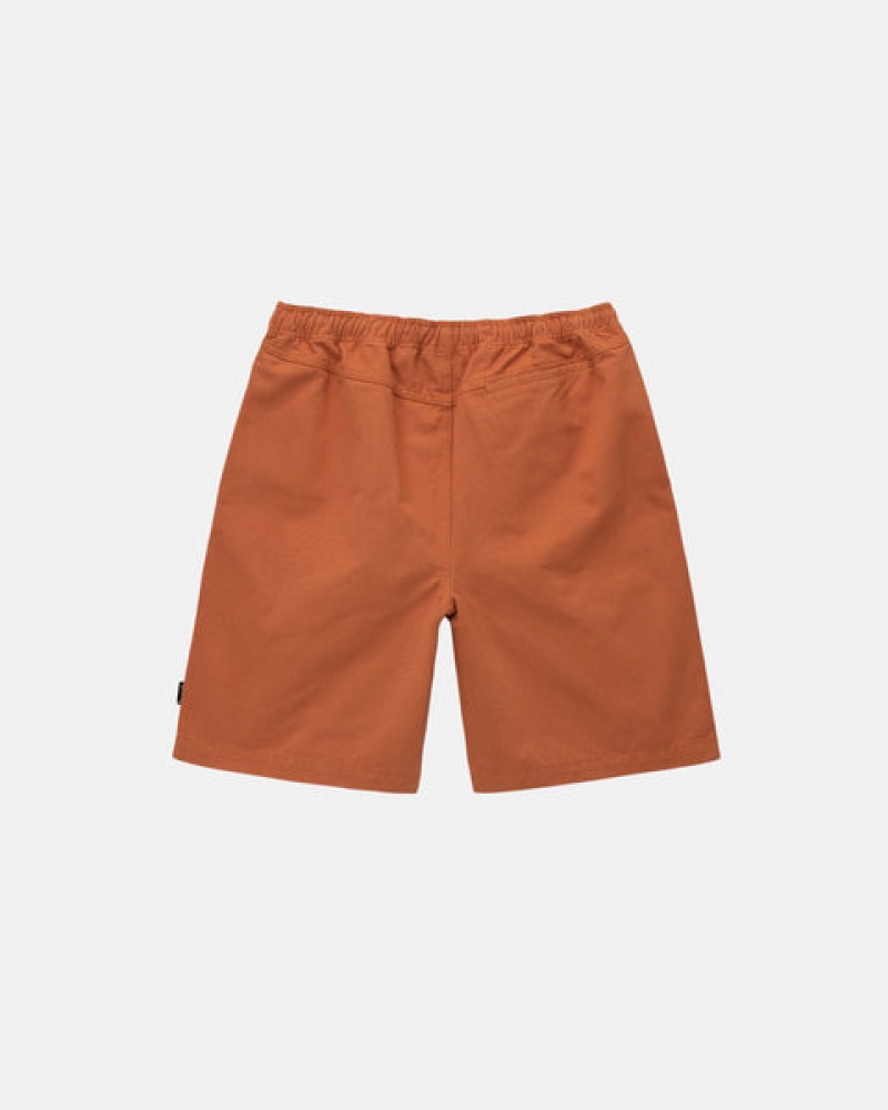 Brown Men's Stussy Brushed Beach Shorts Philippines | QYS-1508