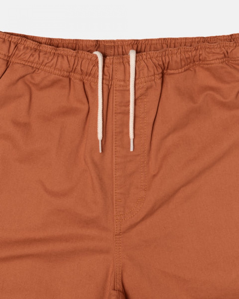 Brown Men's Stussy Brushed Beach Shorts Philippines | QYS-1508