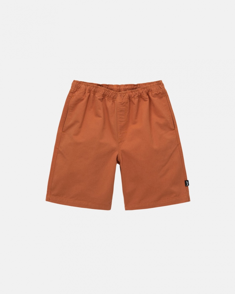 Brown Men\'s Stussy Brushed Beach Shorts Philippines | QYS-1508