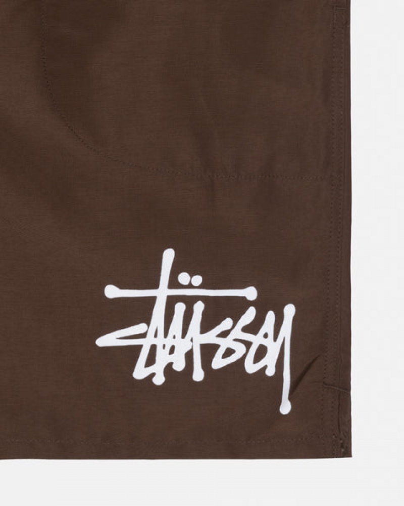 Coffee Men's Stussy Big Basic Water Short Swimwear Philippines | CGB-1289