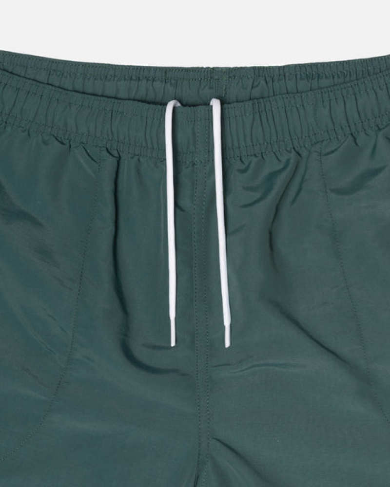 Green Men's Stussy Big Basic Water Short Swimwear Philippines | JCB-0892