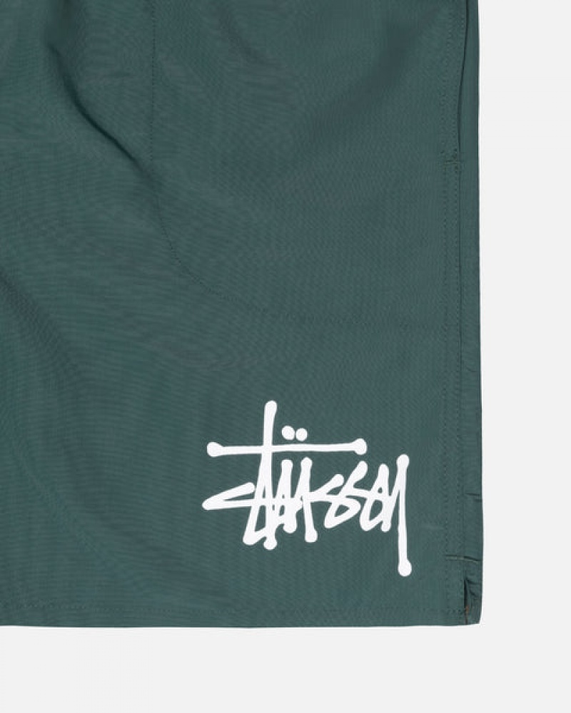 Green Men's Stussy Big Basic Water Short Swimwear Philippines | JCB-0892