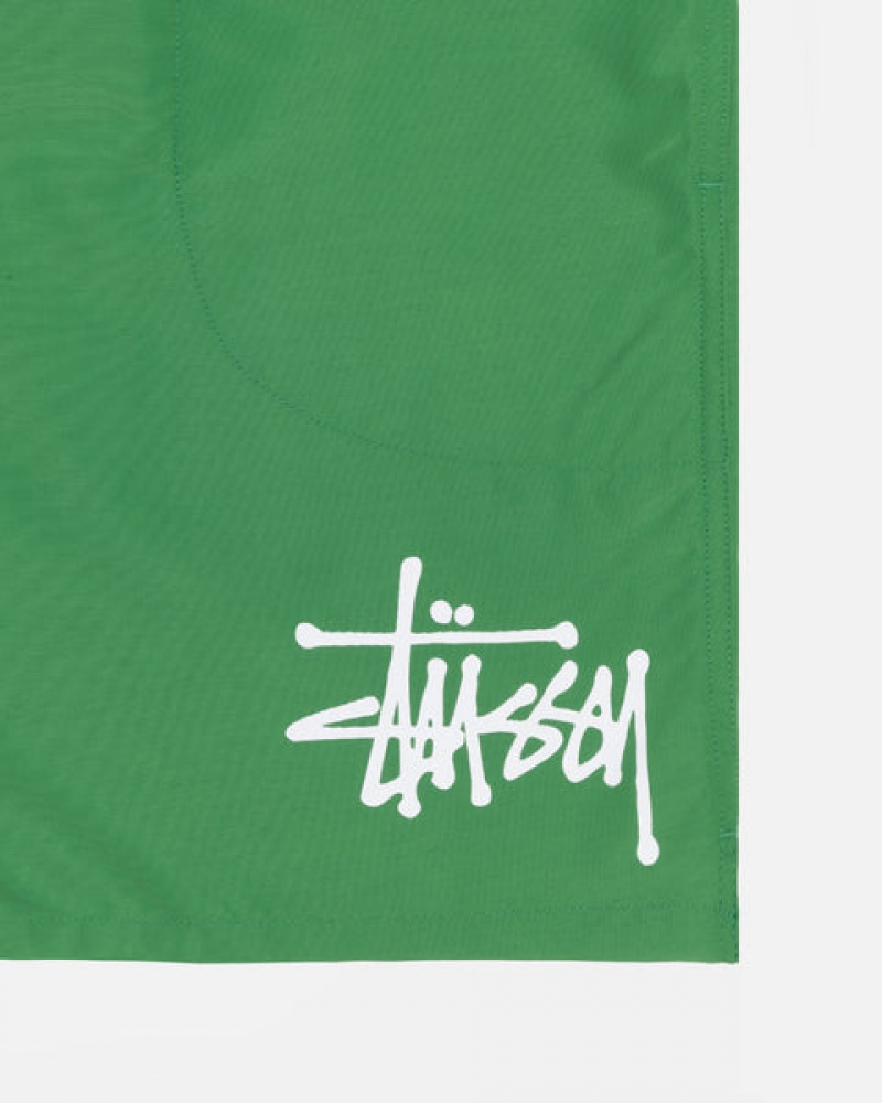 Green Men's Stussy Water Short Big Basic Shorts Philippines | LBZ-1682