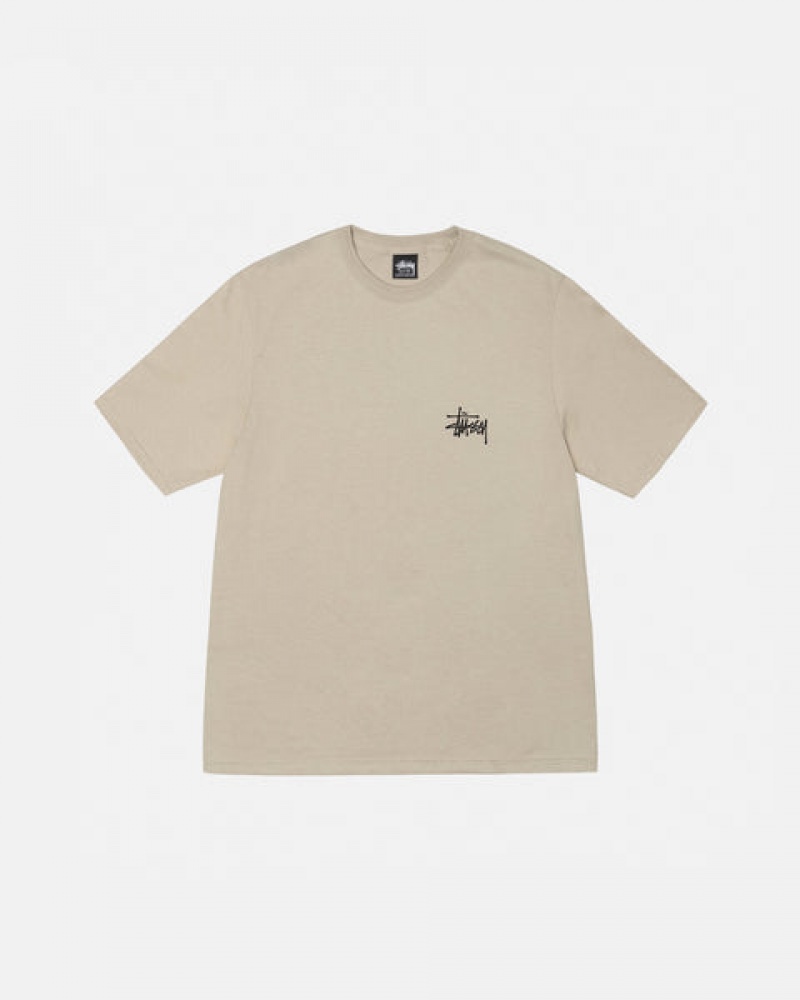 Khaki Women's Stussy Basic Stussy Tees Philippines | MWH-2430