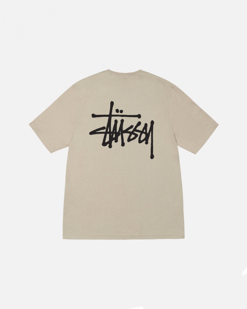 Khaki Women\'s Stussy Basic Stussy Tees Philippines | MWH-2430