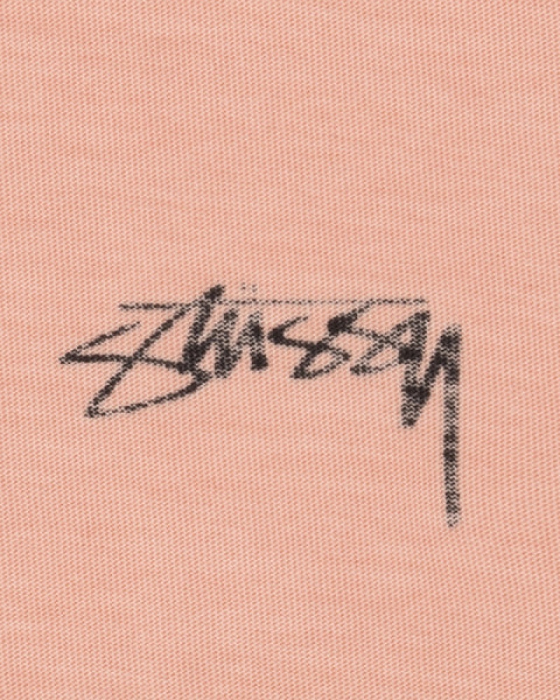 Light Pink Men's Stussy Lazy Ls Tees Philippines | DVX-7874