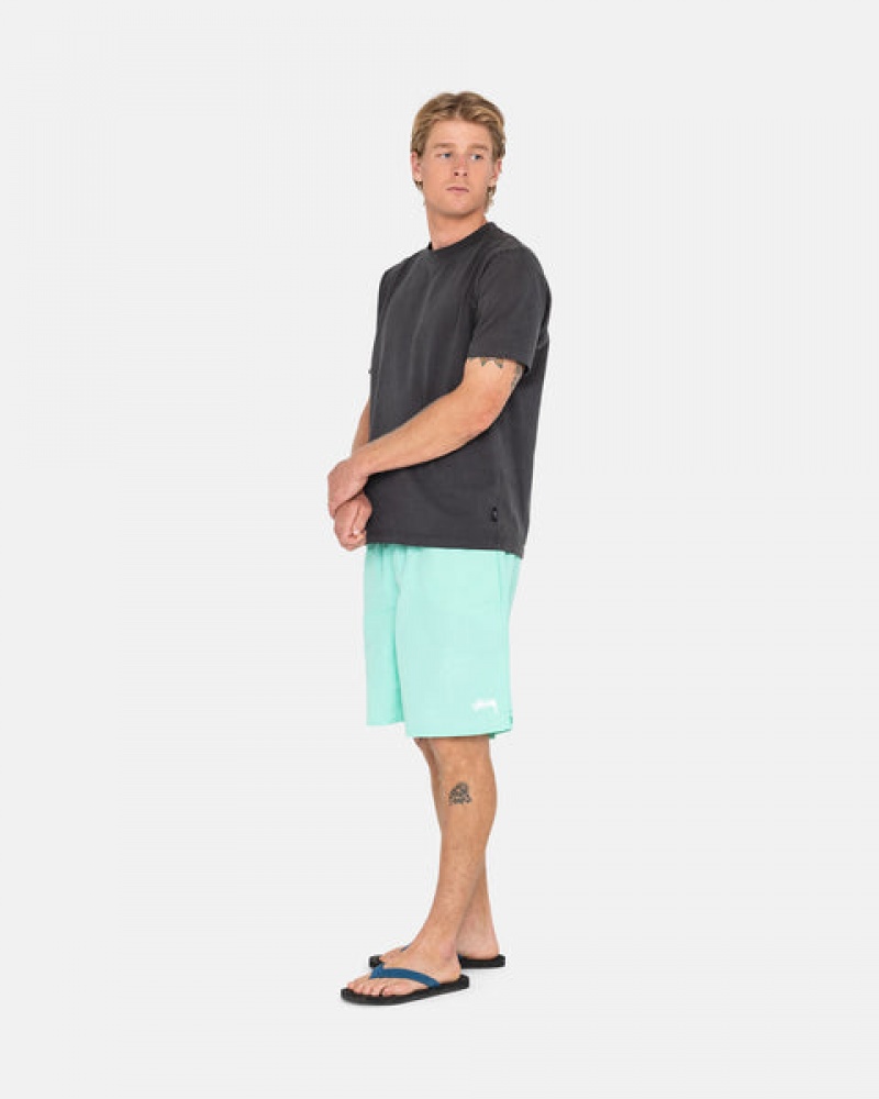 Light Turquoise Men's Stussy Stock Water Short Swimwear Philippines | DVI-6900