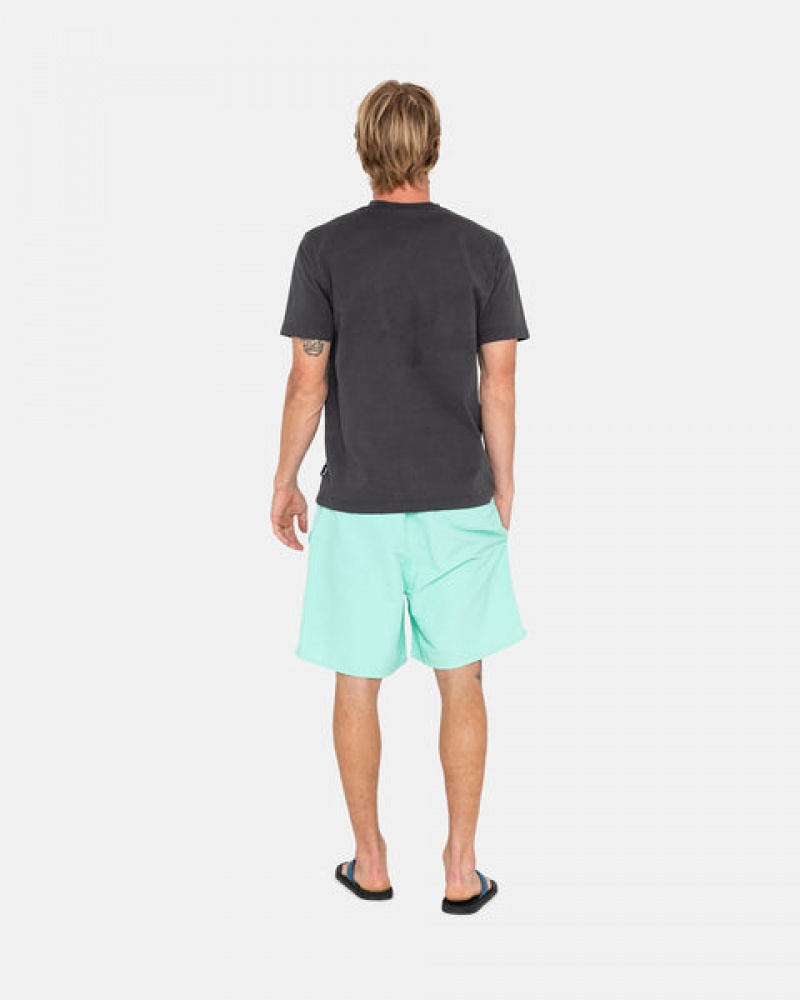 Light Turquoise Men's Stussy Stock Water Short Swimwear Philippines | DVI-6900