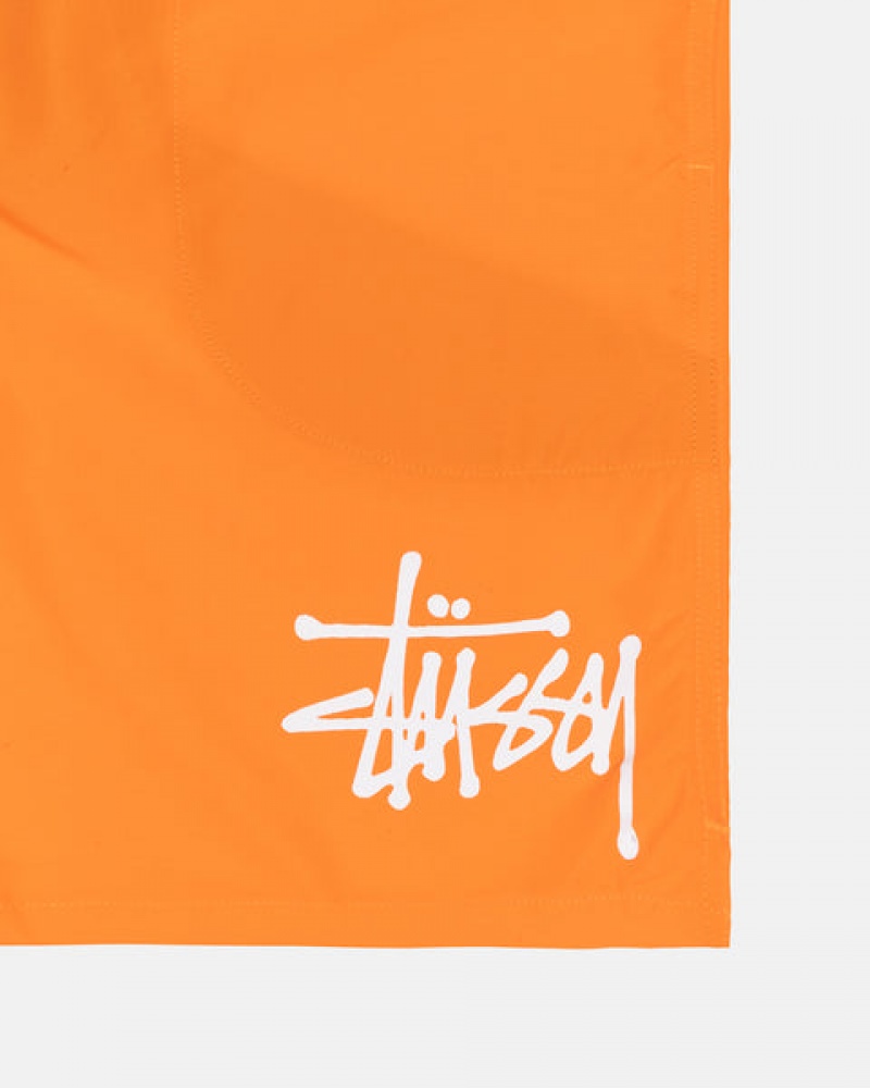 Orange Men's Stussy Water Short Big Basic Shorts Philippines | EBK-9640